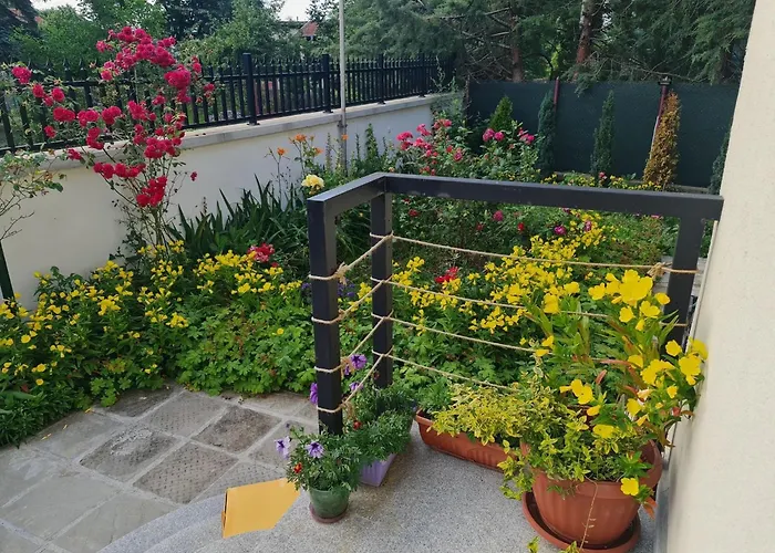 Janet Pensjonat Dołna Banja